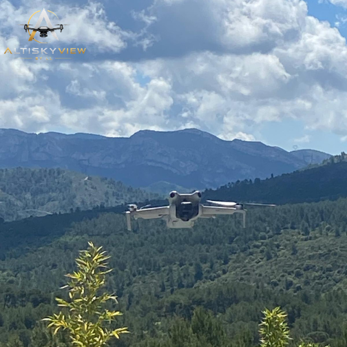 drone en vol altiskyview (2)